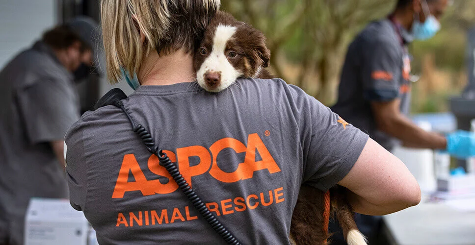 Criticisms and Controversies Related to ASPCA